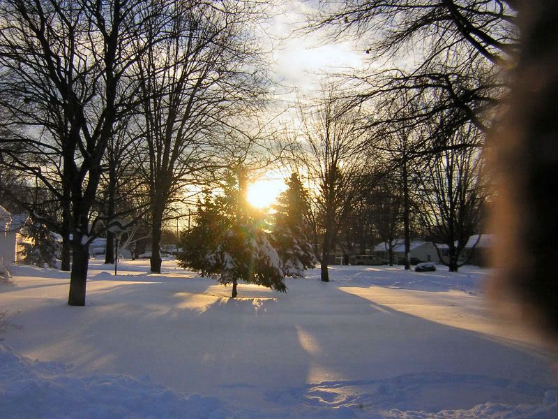 Morningafterbigsnow.jpg