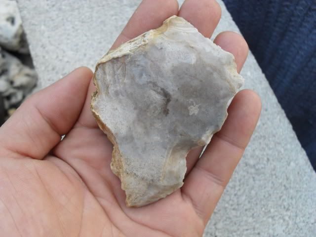 SDC10388.jpg