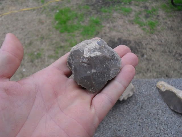 SDC10386.jpg
