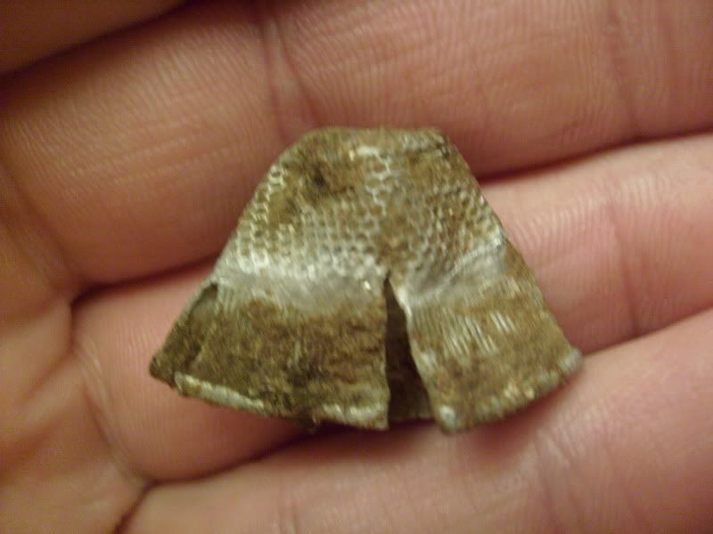 metaldetecting.jpg