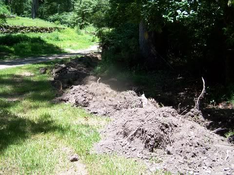100_2925.jpg