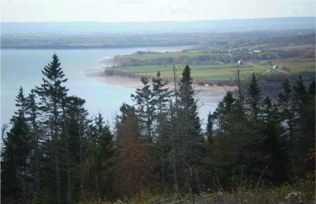 PA190009.jpg