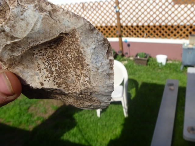 P1020658.jpg