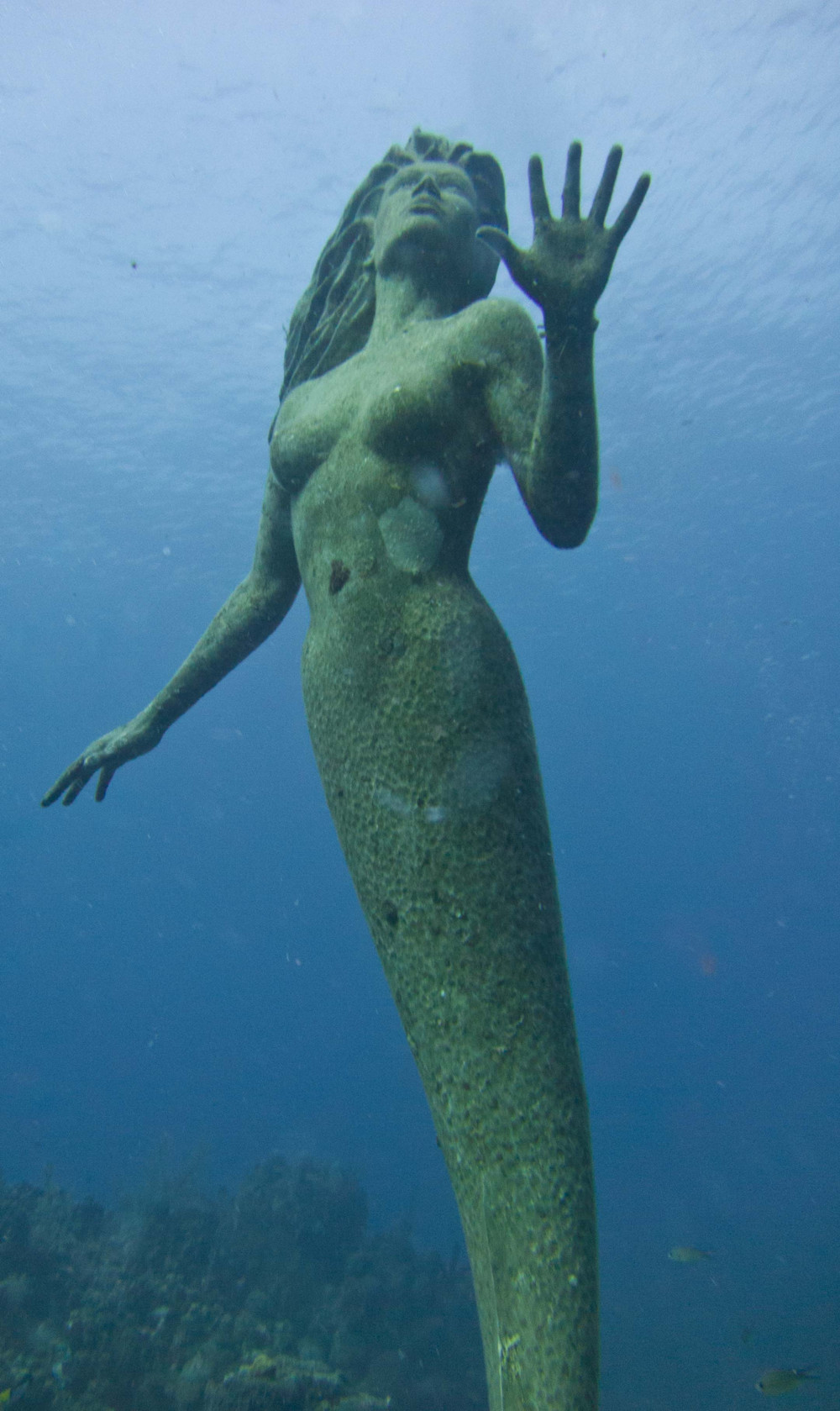 Amphitrite1-L.jpg