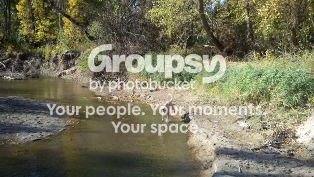 2011-10-06_10-17-19_314.jpg