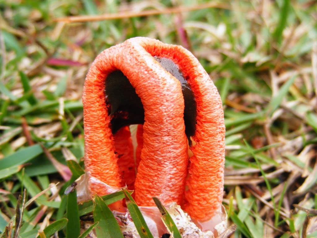 DSCF1350.jpg