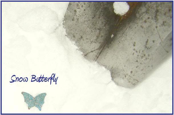 snowbutterfly.jpg