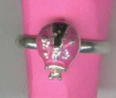 ringladybug0220071.jpg