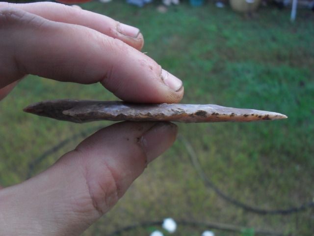SDC10218.jpg