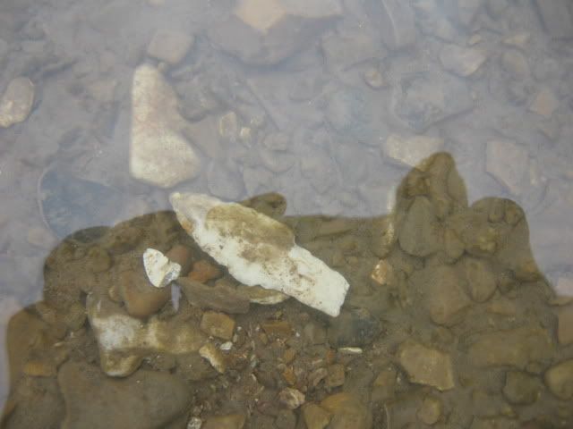 arrowhead02-20-2009002.jpg