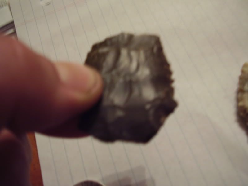 P1010007.jpg