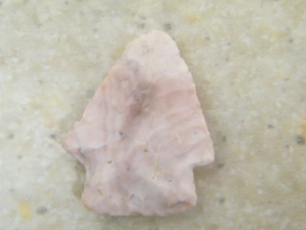 DSCF0414.jpg
