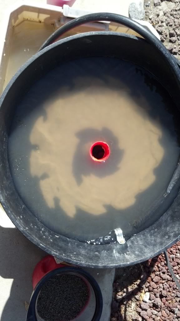 BlackBowel2.jpg