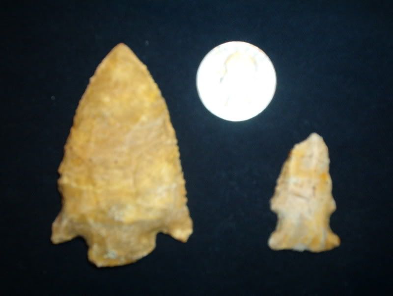 march0407045.jpg
