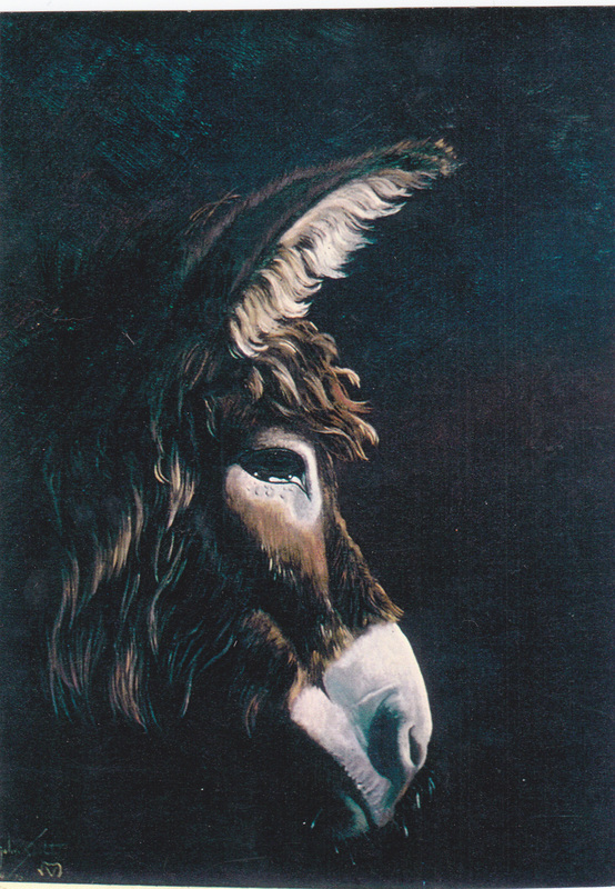 5961839_orig.jpg