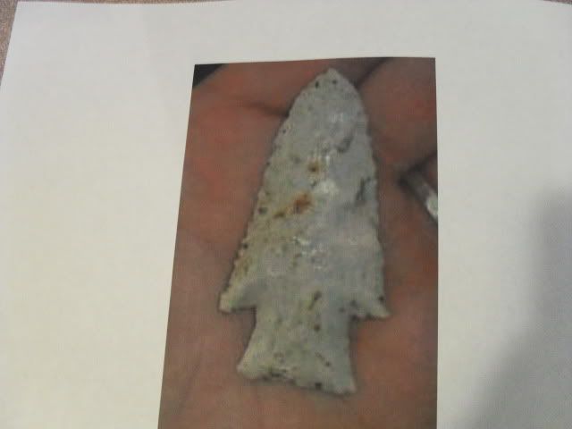 SDC11550.jpg