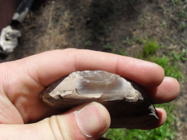 SDC10890.jpg