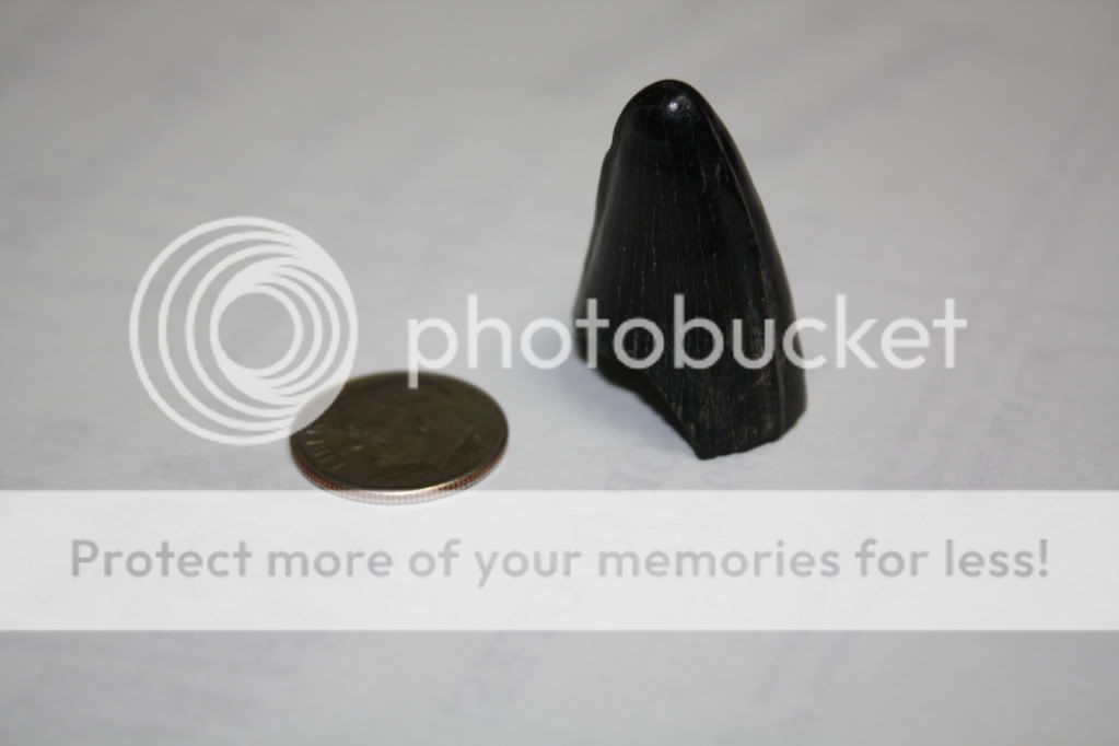 IMG_6510.jpg