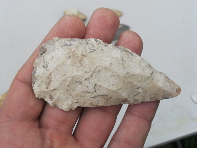 SDC11476.jpg
