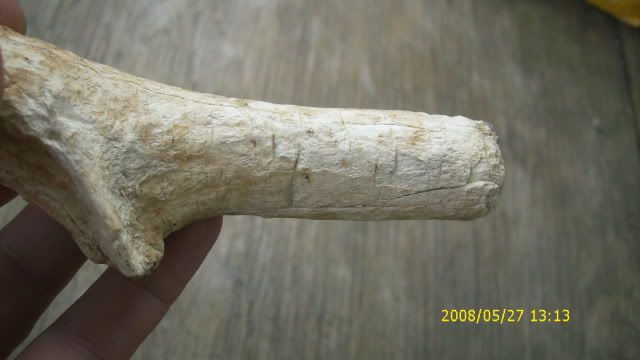 DSCI0886.jpg