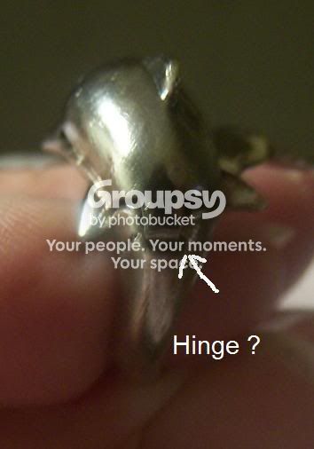 RingDolphin0529094a.jpg