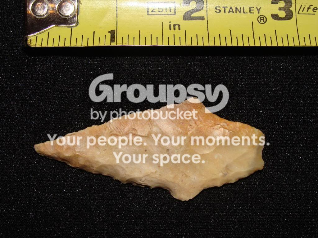 DSC00213.jpg