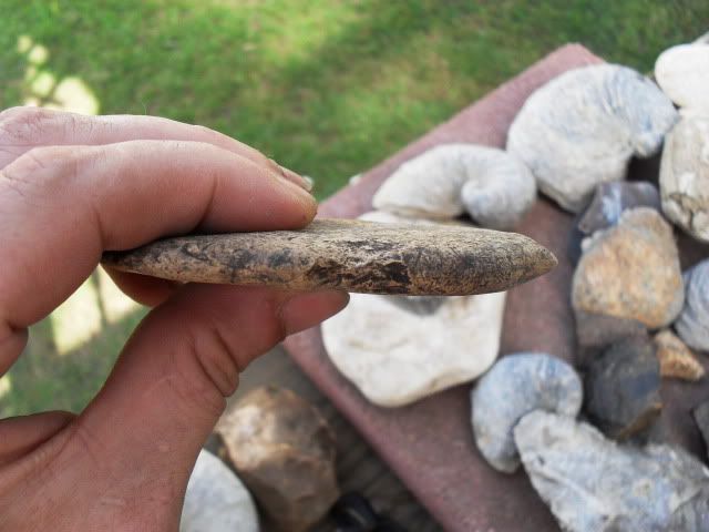 SDC11536.jpg