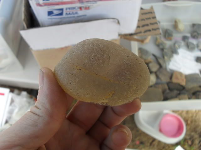 SDC10837.jpg