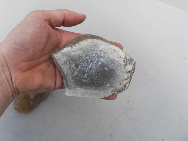 SDC11380.jpg