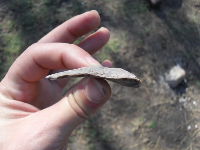 SDC10940.jpg