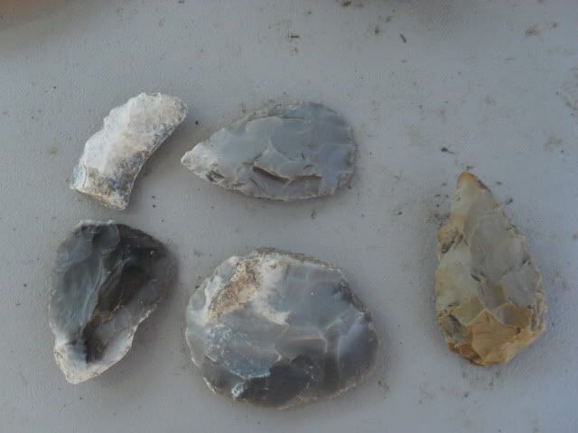 SDC10898.jpg