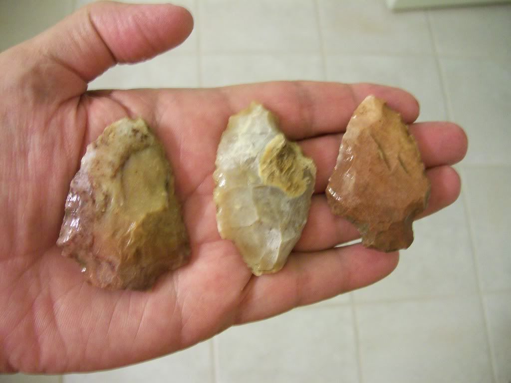 100_3303.jpg