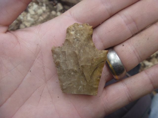 P1060892.jpg