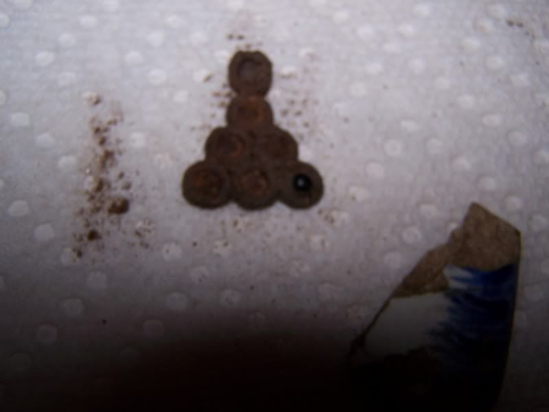 100_1256.jpg