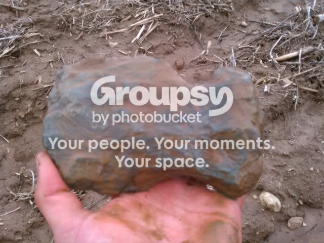 IMAG0571.jpg