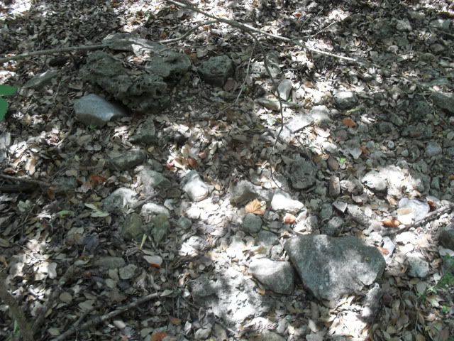 SDC10470.jpg
