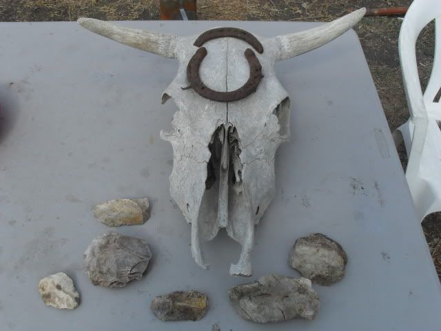 SDC10565.jpg