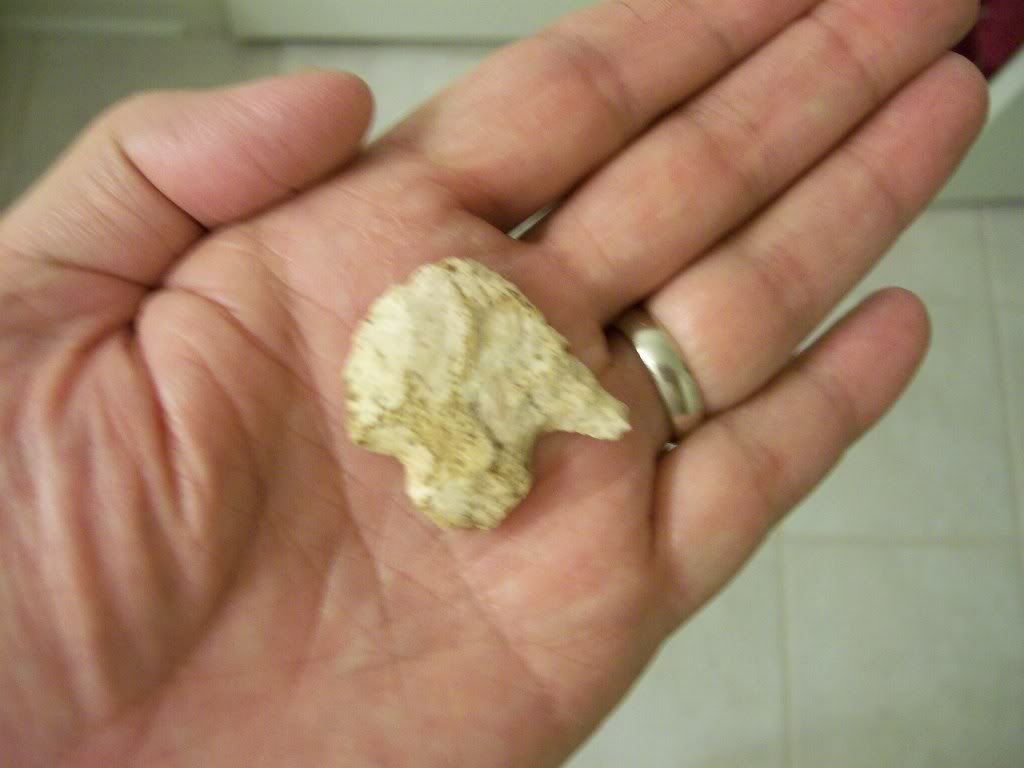100_3038.jpg