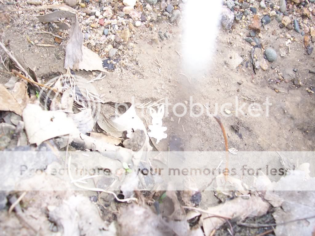 creekfinds90004.jpg