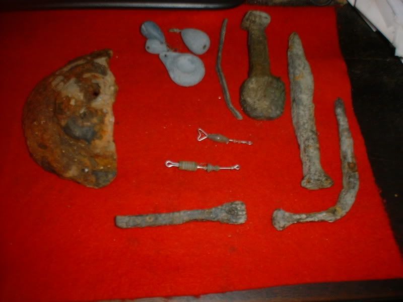 11-10-10beachfinds.jpg