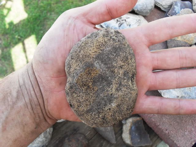 SDC11534.jpg