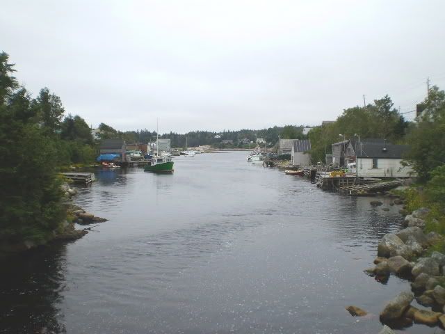 P2240007.jpg