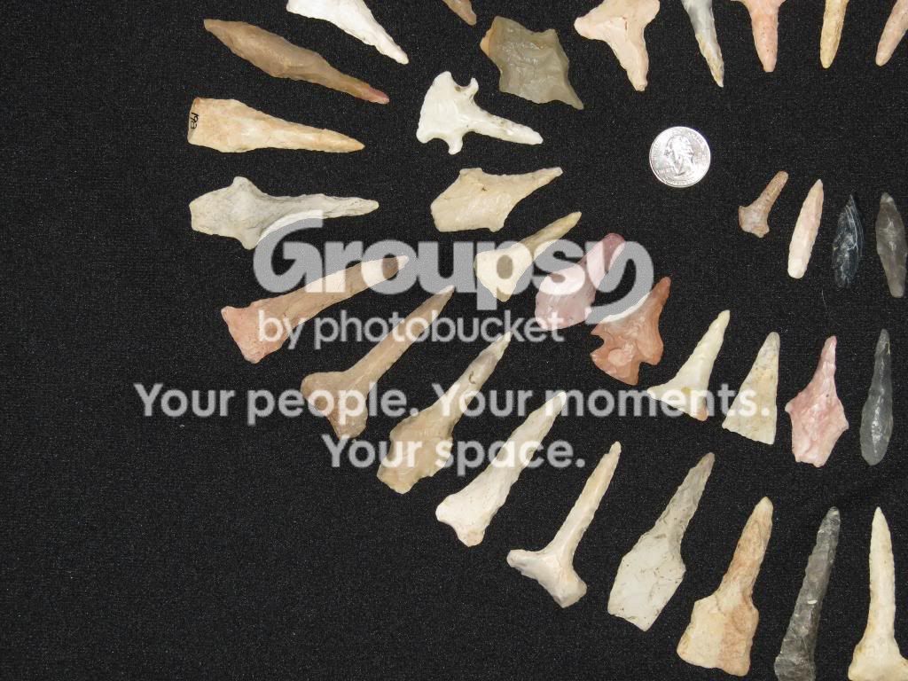 IMG_3388_zps63f43fa8.jpg