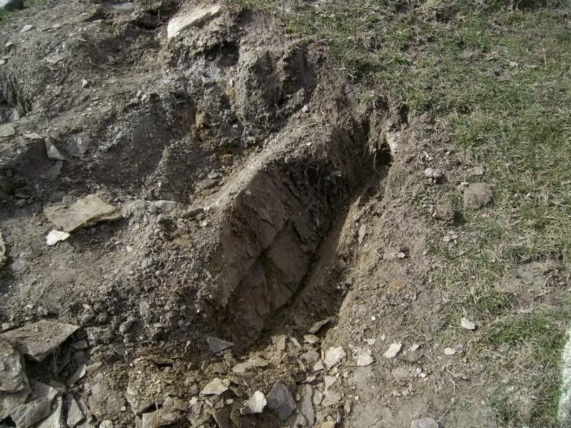 tobinsgoldinschistcrevice1.jpg