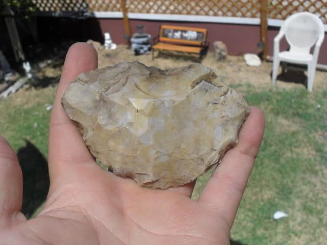 SDC10642.jpg