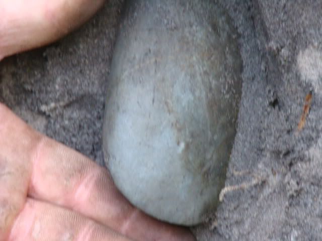 DSC09802.jpg