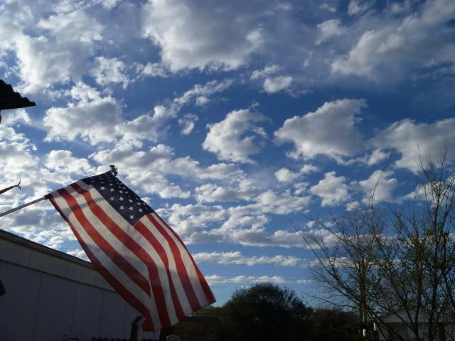 P1020478.jpg