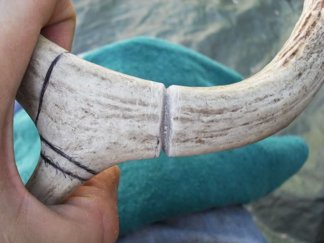 SDC11498.jpg