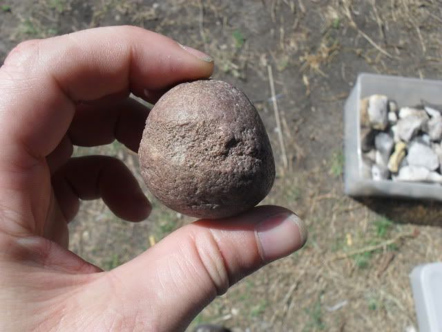 SDC10979.jpg