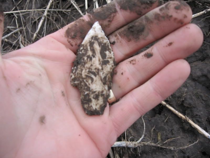 02-27-2009fieldhunt008.jpg